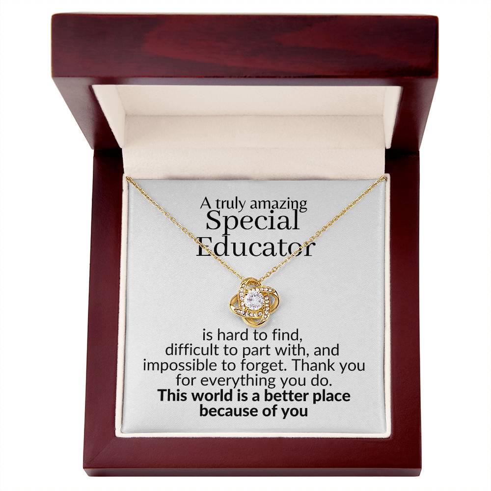 special educator etsy