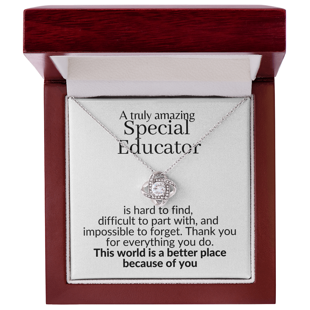 special educator etsy